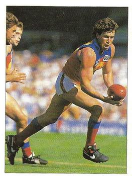 1992 Select AFL Stickers #102 Brett Stephens Front
